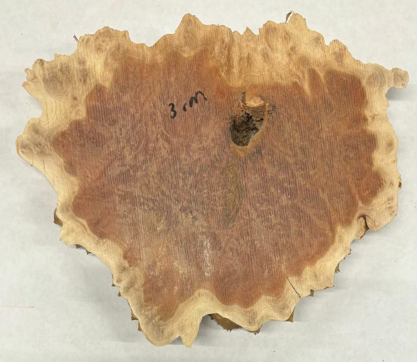 Red Mallee Burl Cookies - 10  x 9  x 1  #1024 Sale - Image 3