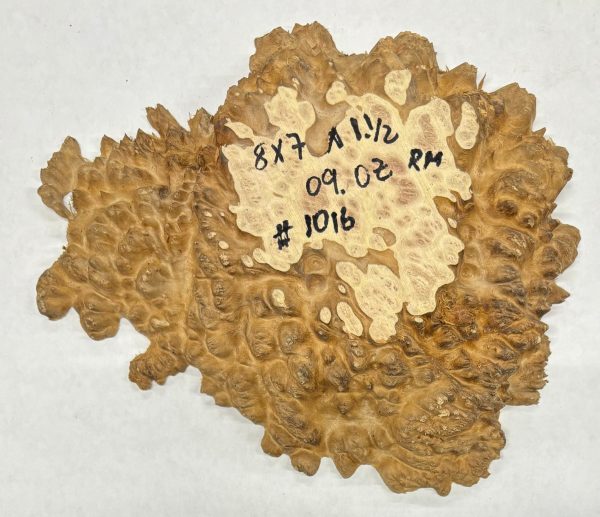 Red Mallee Burl Cookies - 8  x 7  x 1-1 2  #1016 Hot on Sale