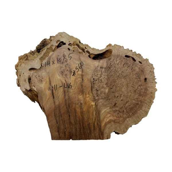 Chechen Burl Cap 14 x10 x5 	11 lbs |  #560 Sale - Image 3