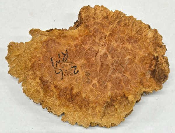 Red Mallee Burl Cookies - 9  x 8  x 1-1 2  #1003 Cheap - Image 3