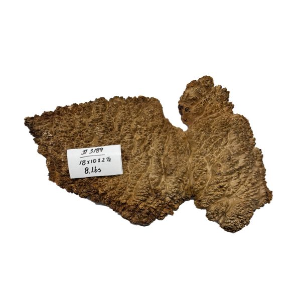 Australian Red Mallee Burl 18  x 10  x 2-1 2  8 Lbs |  #3189 Fashion