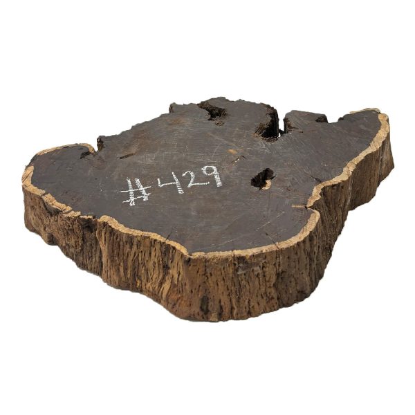 African Blackwood Live Edge Slab Cookies - 21 x 12 x 3  #429 Online - Image 4