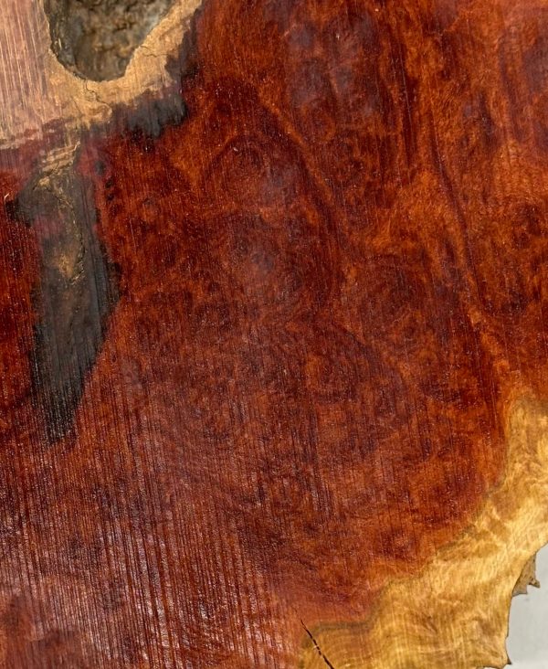 Red Mallee Burl Cookies - 10  x 9  x 1  #1024 Sale - Image 4