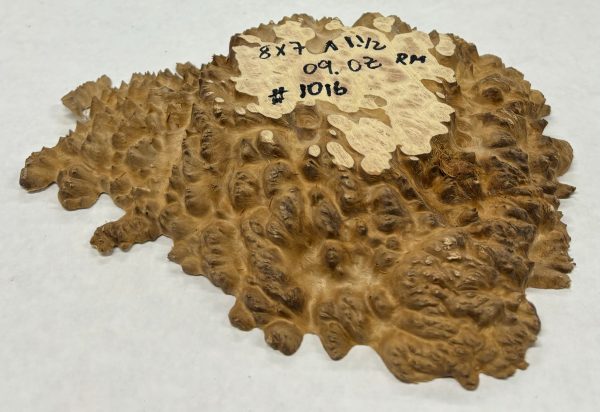 Red Mallee Burl Cookies - 8  x 7  x 1-1 2  #1016 Hot on Sale - Image 2