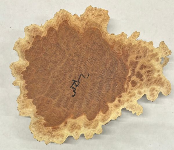 Red Mallee Burl Cookies - 8  x 7  x 1-1 2  #1016 Hot on Sale - Image 3