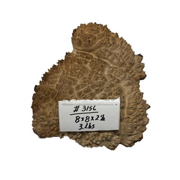 Australian Red Mallee Burl 8  x 8  x 2-1 2  3 Lbs |  #3156 For Cheap